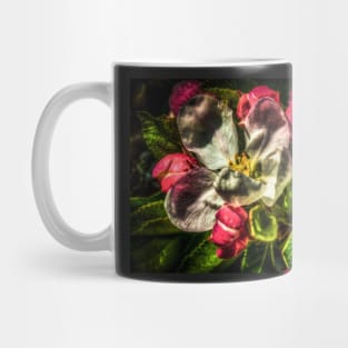 HDR Apple Blossom Mug